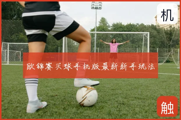 欧锦赛买球手机版最新新手玩法