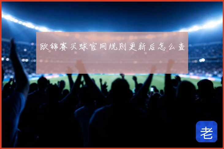 欧锦赛买球官网规则更新后怎么查